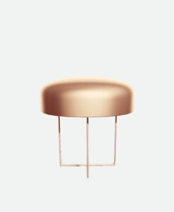 Product Name 12 – Image 2